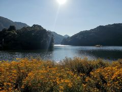 -广州市石门国家森林公园