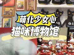 -猫咪博物馆(顶澳仔猫街店)