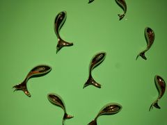 -海马体照相馆(天津世纪都会店)