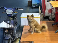 -亚忠小吃店(曾厝垵店)