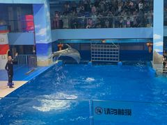 -锦艺城海洋馆