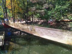 -参仙谷生态旅游度假区