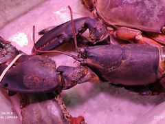 -锦绣大地生鲜食品厅(巨山路店)