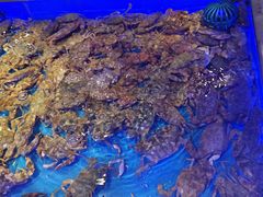 -釜盛海鲜烤肉火锅自助料理(正义坊购物中心店)