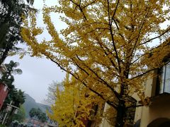-重庆南山海昌汤都