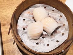 -纽斯特牛排自助餐厅(浦东文峰广场店)