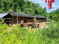 -野象谷景区