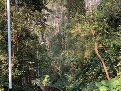 -水濂山森林公园