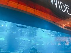 -迪拜水族馆及水下动物园