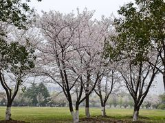 -南京医科大学(江宁校区)