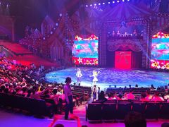 -珠海横琴长隆《卡卡虎奇遇记》