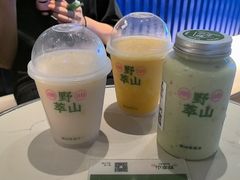 -野萃山·潮汕厚果汁(十亩地店)