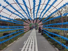 -苏州太湖西山岛开心农场