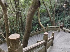 -普陀山风景区-佛顶山