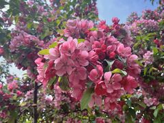 -元大都城垣遗址公园