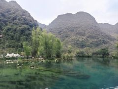 -靖西鹅泉风景区