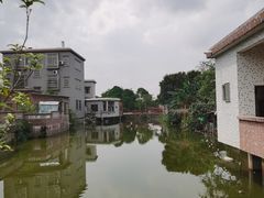 -江门古劳水乡旅游区