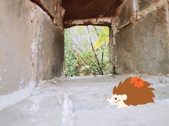 -司马台长城