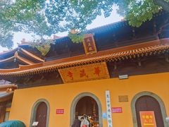 -亭林园-华藏寺