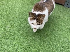 -前小桔亲子创意农场·草莓采摘·露营烧烤