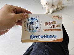 -乐琪宠物医院·犬猫专科·骨外科·急重症