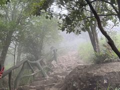 -梧桐山风景名胜区