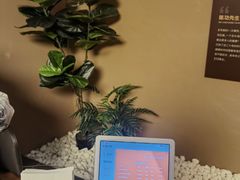 -端艾堂·SPA·艾灸(棕榈泉013店)