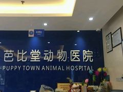 -芭比堂动物医院·24小时·眼科中心(深圳中心)