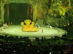 -广州长隆国际大马戏