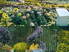 -南山植物园