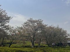 -凤凰沟景区