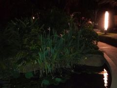 -汇雅温泉