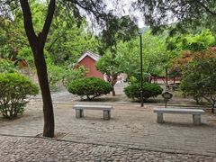 -泰山风景名胜区-普照寺