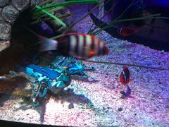 -沈阳海洋探索中心