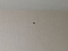 -南京夫子庙国际青年旅舍(平江府路店)