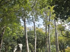 -柳侯公园
