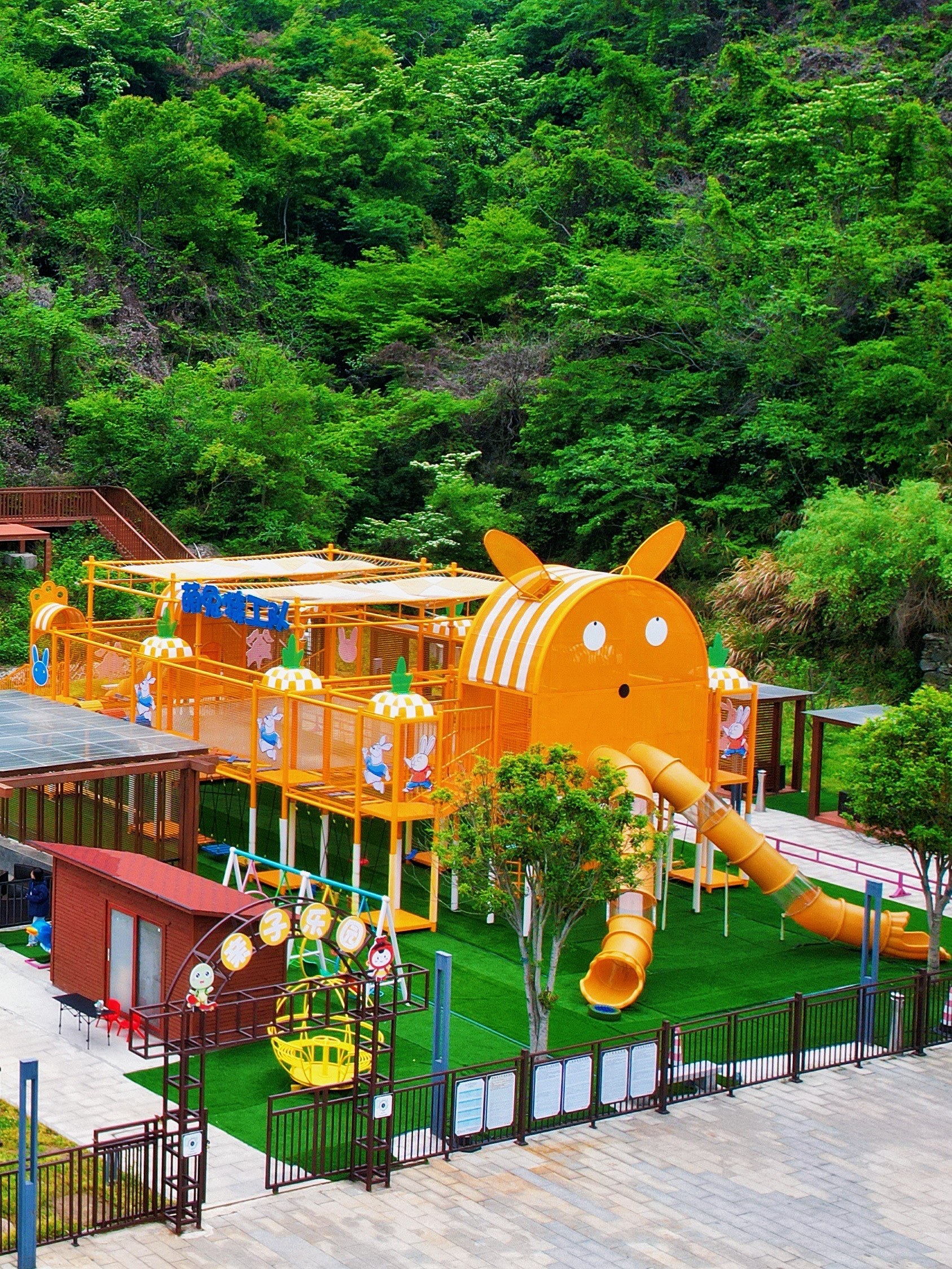 武汉出发🚗2h,闯进漫山的杜鹃花海🌺