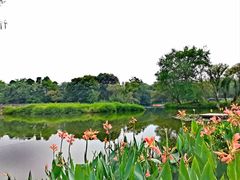 -西溪国家湿地公园