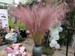 -重庆市江北嘴中央商务区中央公园