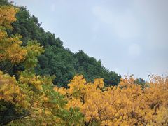 -苏州上方山国家森林公园
