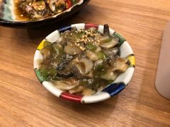 -一本钓鲔鱼屋