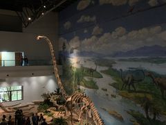 -自贡恐龙博物馆
