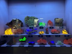 -湖南省地质博物馆