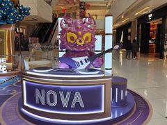 -岭南站NOVA