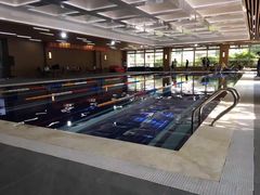 -梧桐阳光国际游泳健身会所(亚运村店)