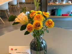 店内布置-dotcom coffee古点咖啡(致真大厦店)