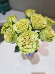 -薇薇安花系SPA