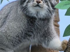 -青藏高原野生动物园