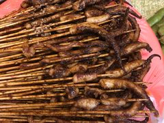 -十里铺铁板鱿鱼