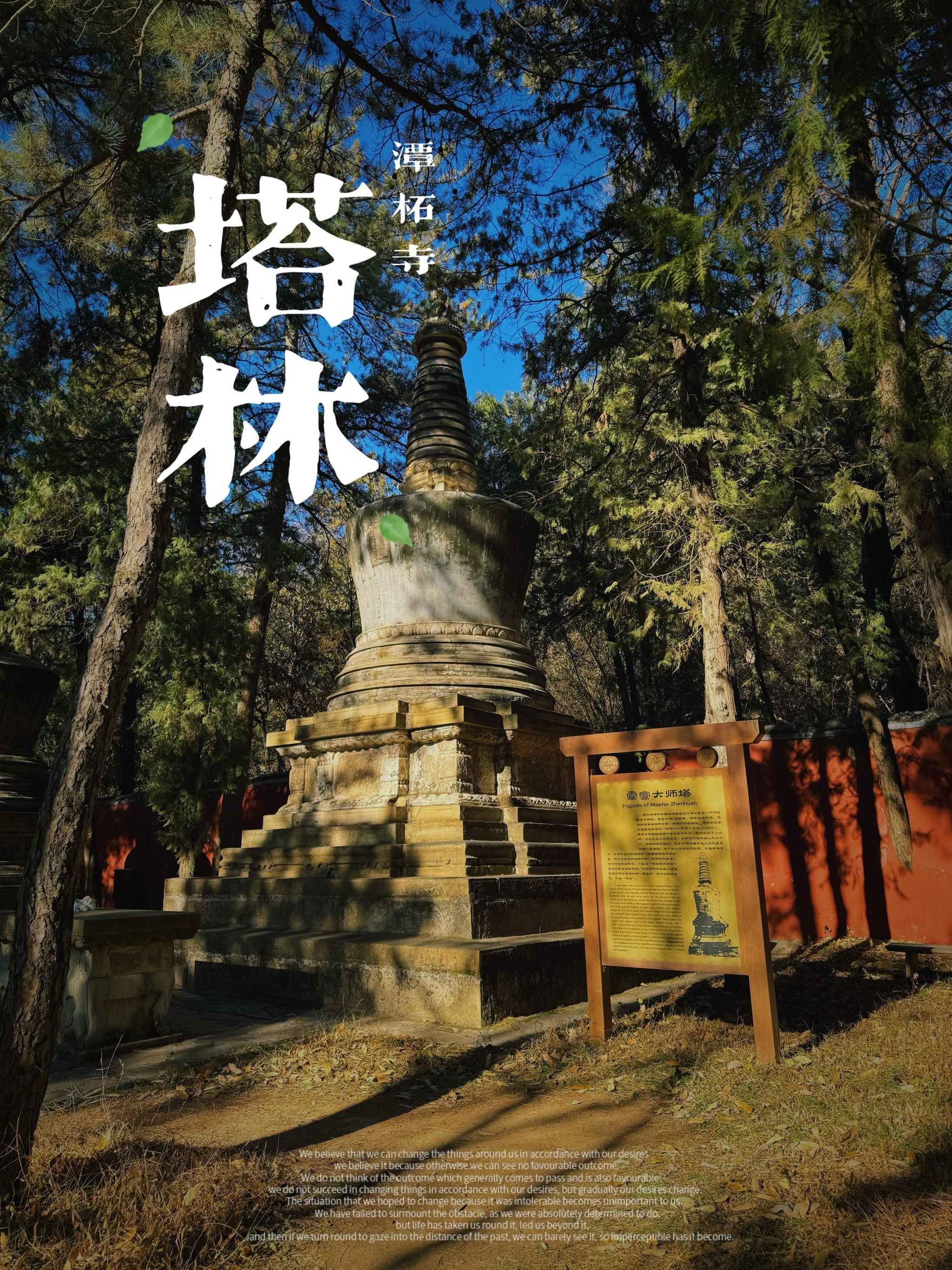 潭柘寺塔林～上,下塔林